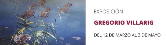 EXPOSICION
