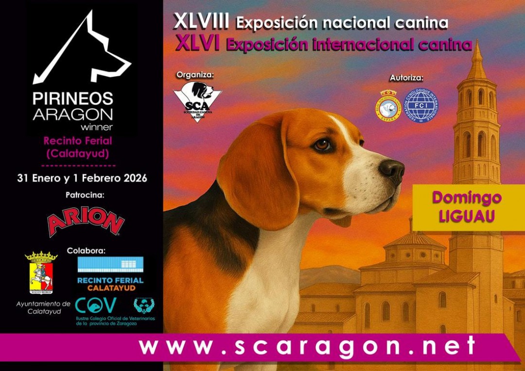 EXPOSICIONES CANINAS