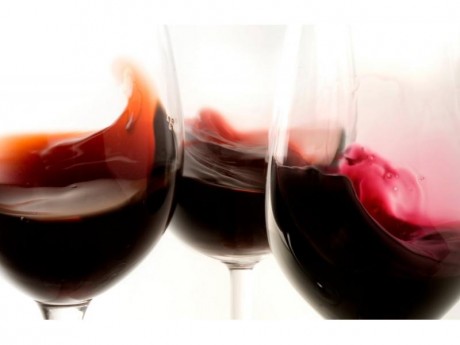 Vino de la Denominación de Orígen Calatayud