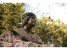 Monumento a Fernando el Católico en el parque que lleva su nombre (Fotografía: Juán José Ceamanos)  
