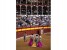 Plaza de Toros (Fotografía: Juán José Ceamanos)