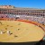 SAN ROQUE 2024