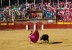 SAN ROQUE 2024