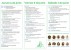 PROGRAMA DEL ENCUENTRO