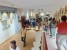 MUSEO TAURINO