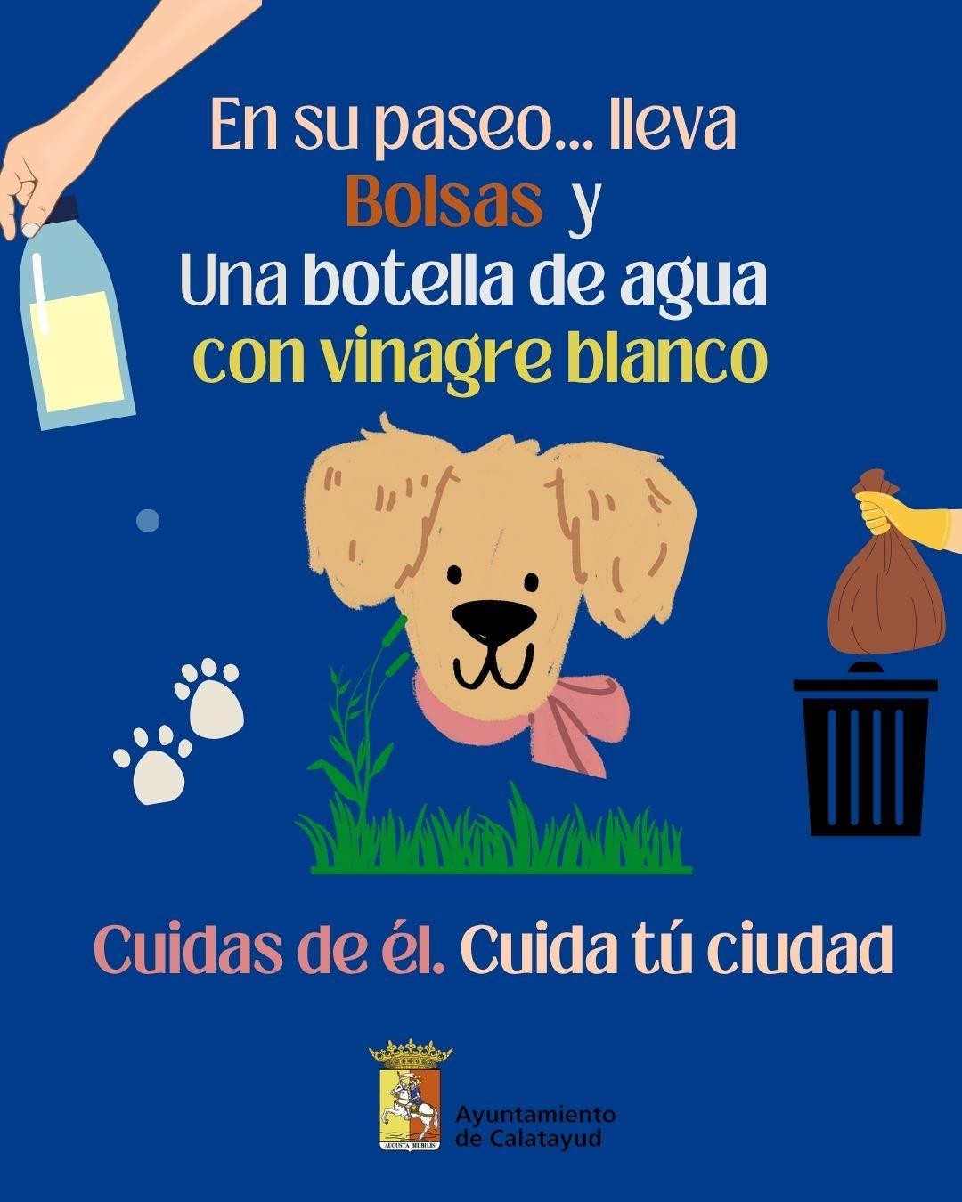 CAMPAÑA PERROS