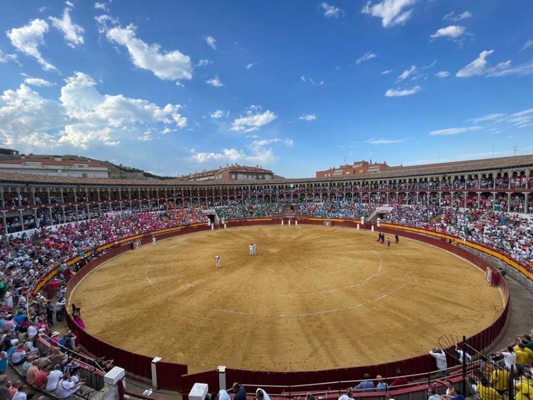 PLAZA DE TOROS LICITACION 