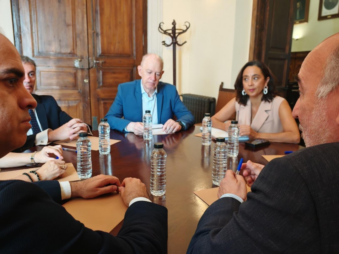 REUNIÓN CONSEJERO SANIDAD