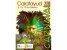 Cartel del Carnaval de Calatayud 2013