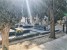 CEMENTERIO MUNICIPAL DE LA SOLEDAD