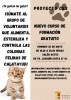 Calatayud celebra un curso formativo para el control de colonias felinas