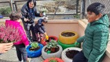 Medio Ambiente colabora con una actividad de jardinería del Colegio Salvador Minguijón 