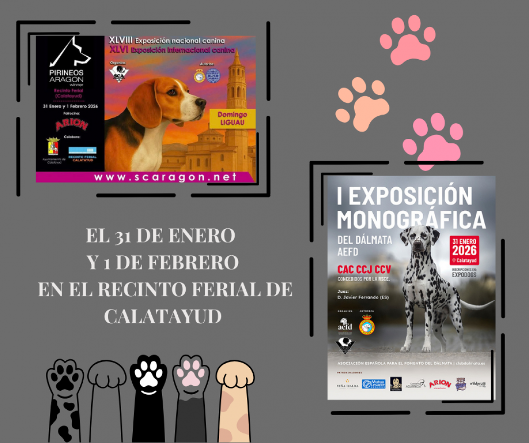 EXPOSICIÓN CANINA