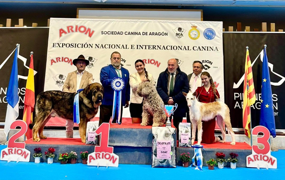EXPOSICION CANINA 