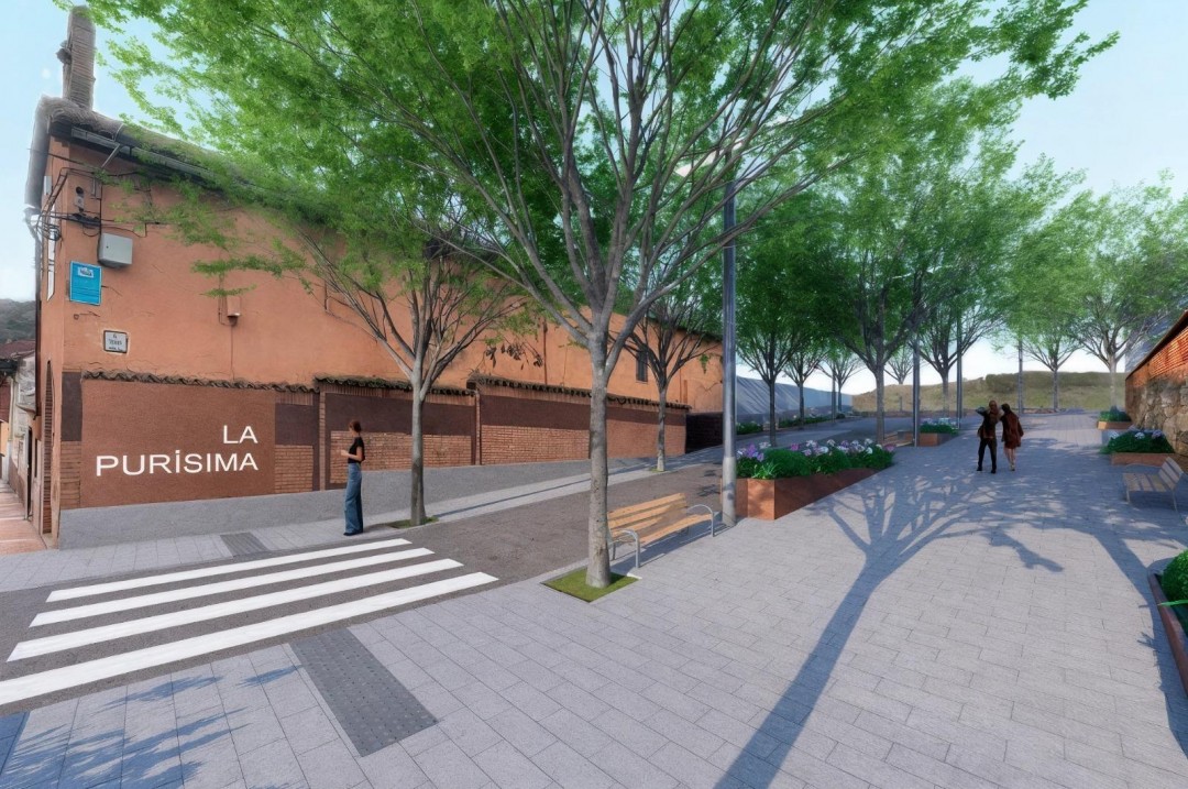 COLEGIO SALVADOR MINGUIJON ACCESOS