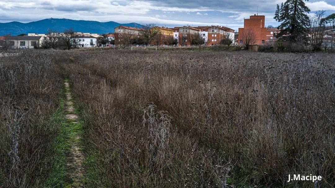 POLÍGONO SAN ANTONIO-AVE