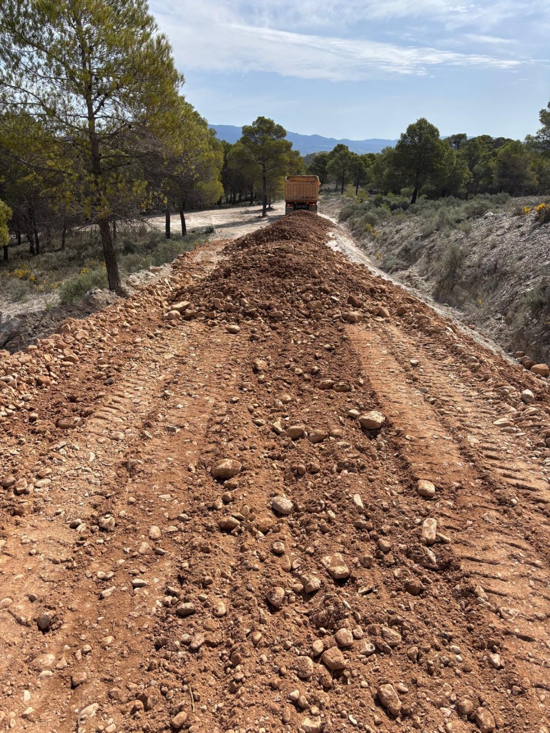 RECRECIDO EN CAMINO DE ARMANTES