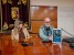 VIDEOS COMERCIO 